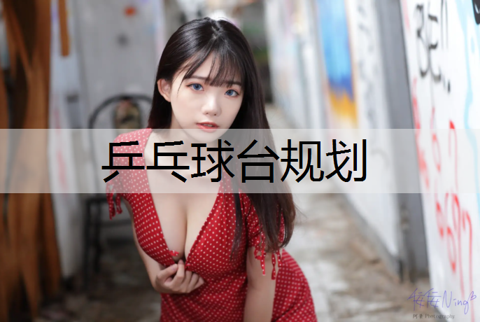 乒乓球台规划