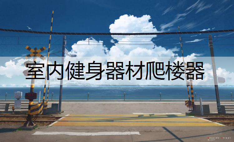 <strong>室内健身器材爬楼器</strong>