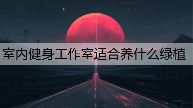 <strong>室内健身工作室适合养什么绿植</strong>