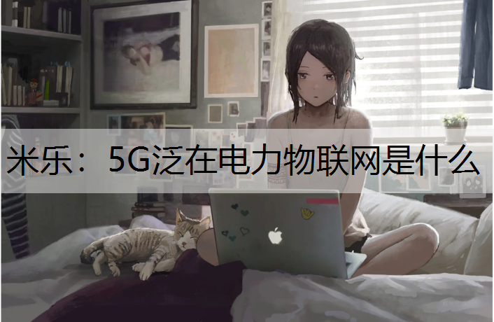 米乐：5G泛在电力物联网是什么