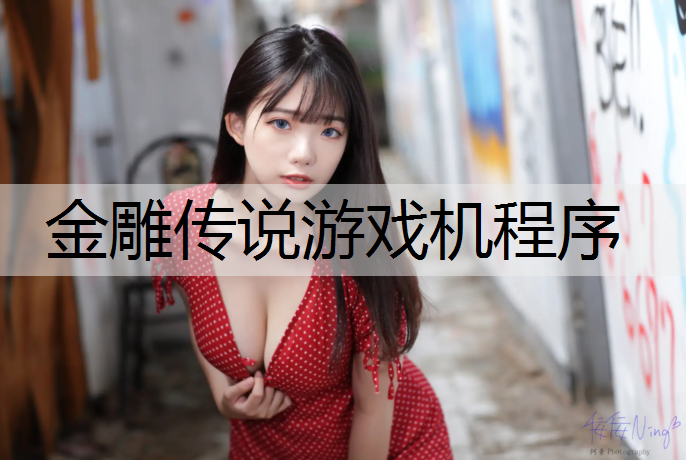 金雕传说游戏机程序