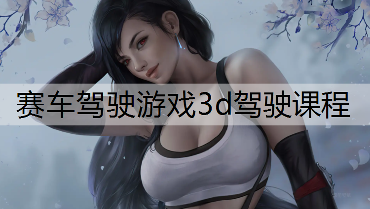 赛车驾驶游戏3d驾驶课程