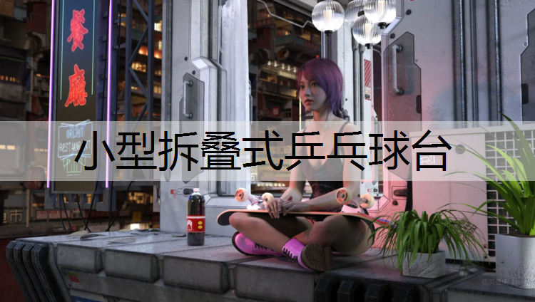 <strong>小型拆叠式乒乓球台</strong>