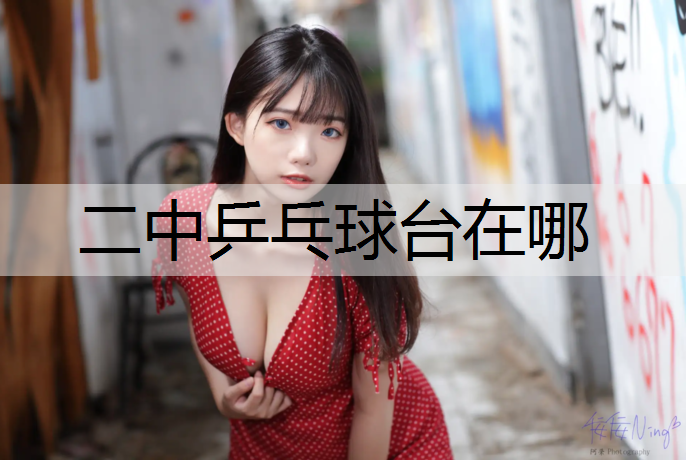 二中乒乓球台在哪