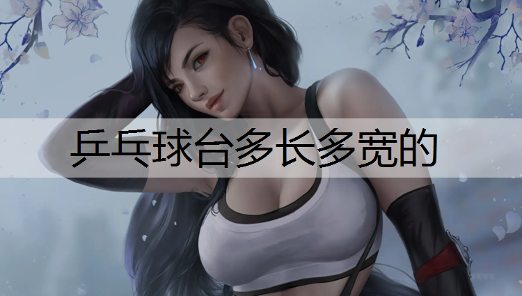 乒乓球台多长多宽的