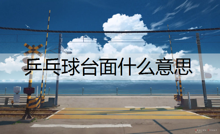 乒乓球台面什么意思