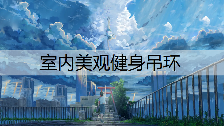 室内美观健身吊环