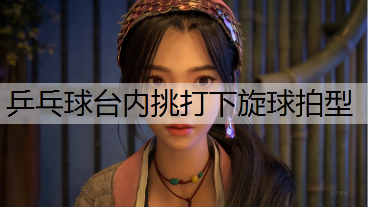 乒乓球台内挑打下旋球拍型