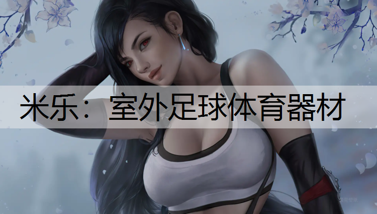 <strong>米乐：室外足球体育器材</strong>