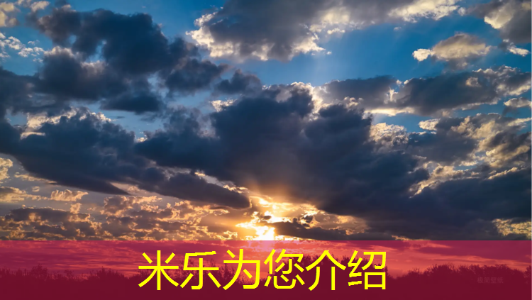 <strong>米乐m6官网登录入口：跆拳道护具分析图表格</strong>