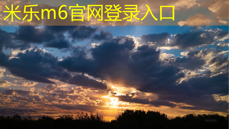 米乐m6官网登录入口：塑胶跑道有什么成分