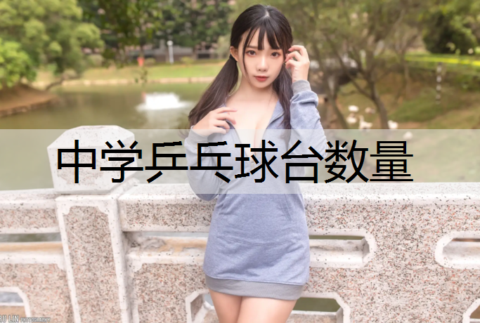 中学乒乓球台数量