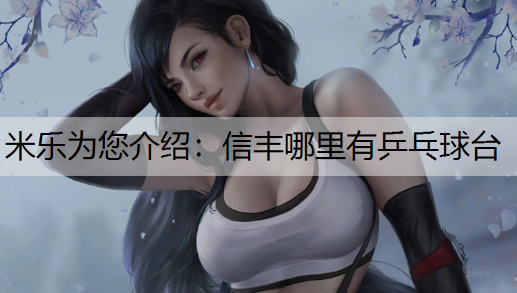 信丰哪里有乒乓球台