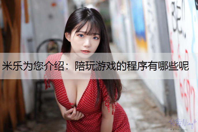 陪玩游戏的程序有哪些呢