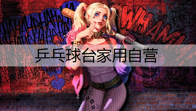 乒乓球台家用自营