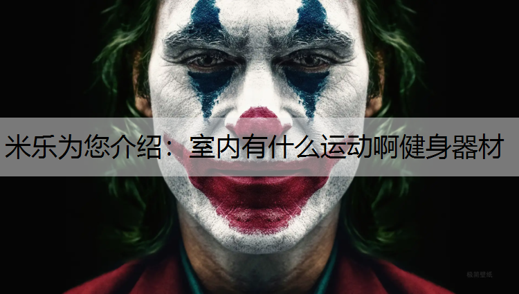 室内有什么运动啊健身器材