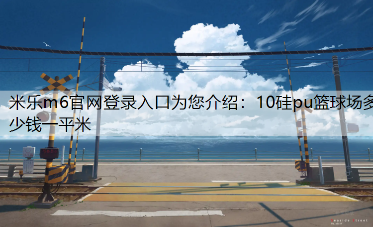 10硅pu篮球场多少钱一平米