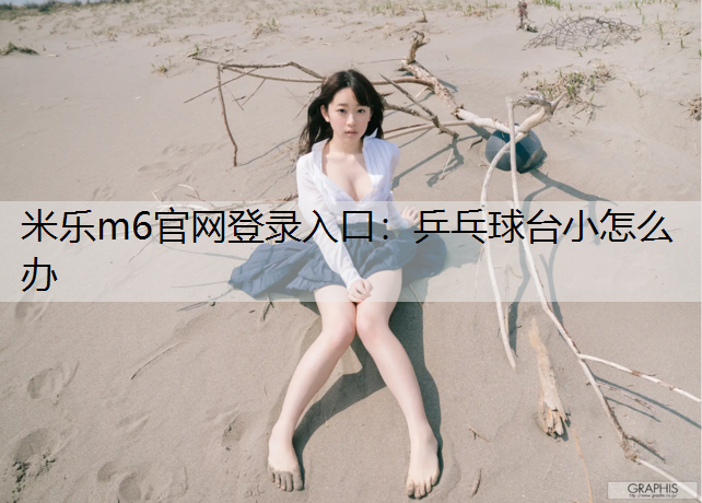 乒乓球台小怎么办