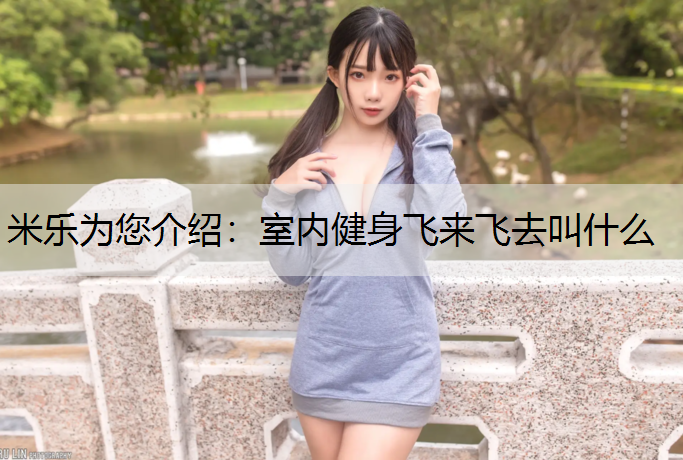 室内健身飞来飞去叫什么