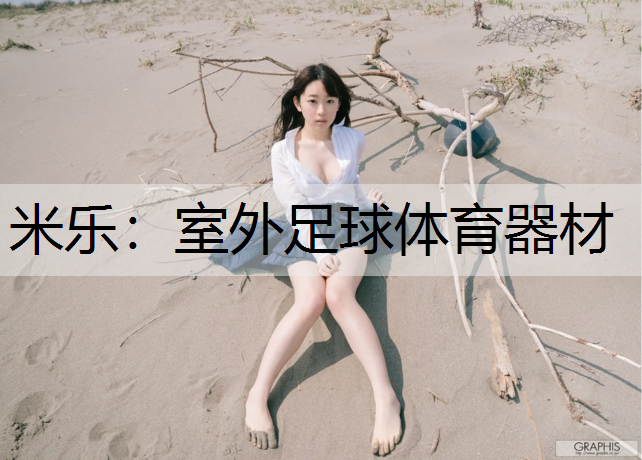 室外足球体育器材